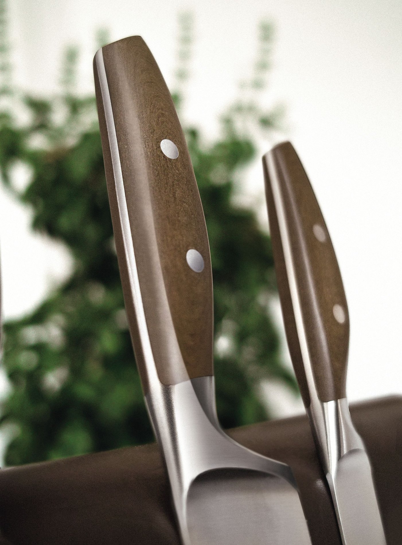 slide-image