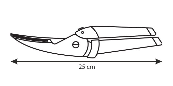 slide-image