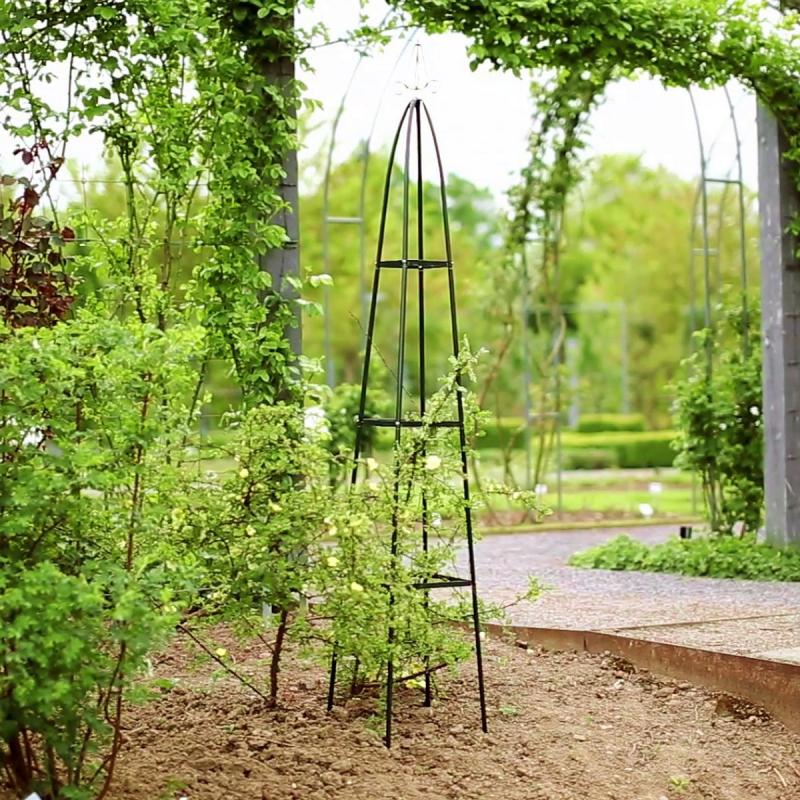 slide-image