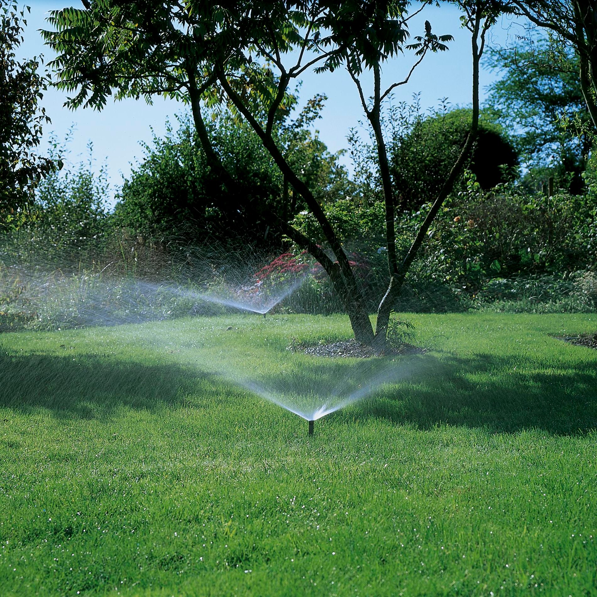 slide-image