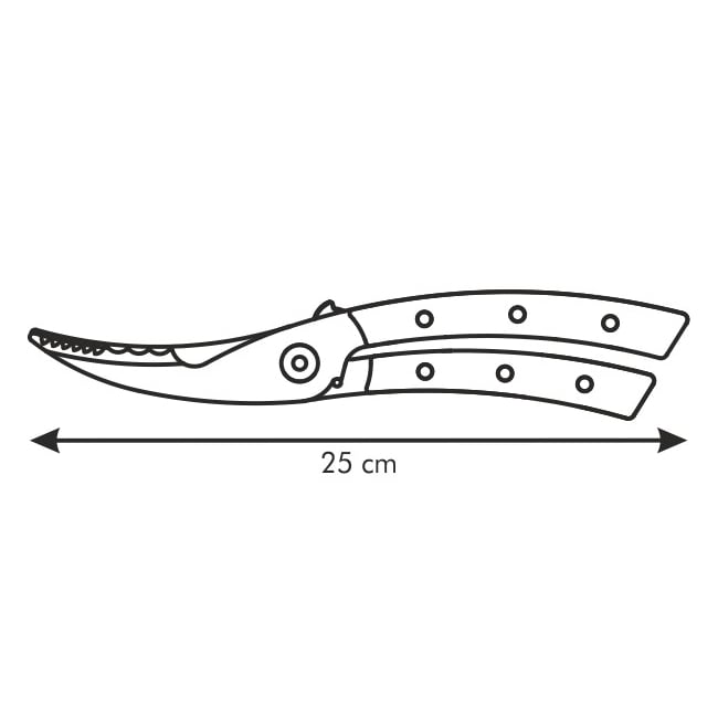 slide-image