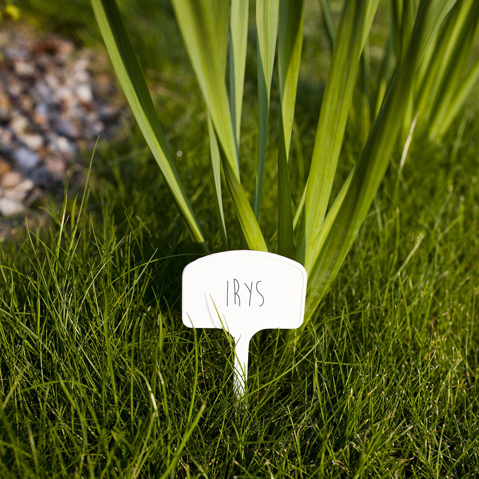 slide-image
