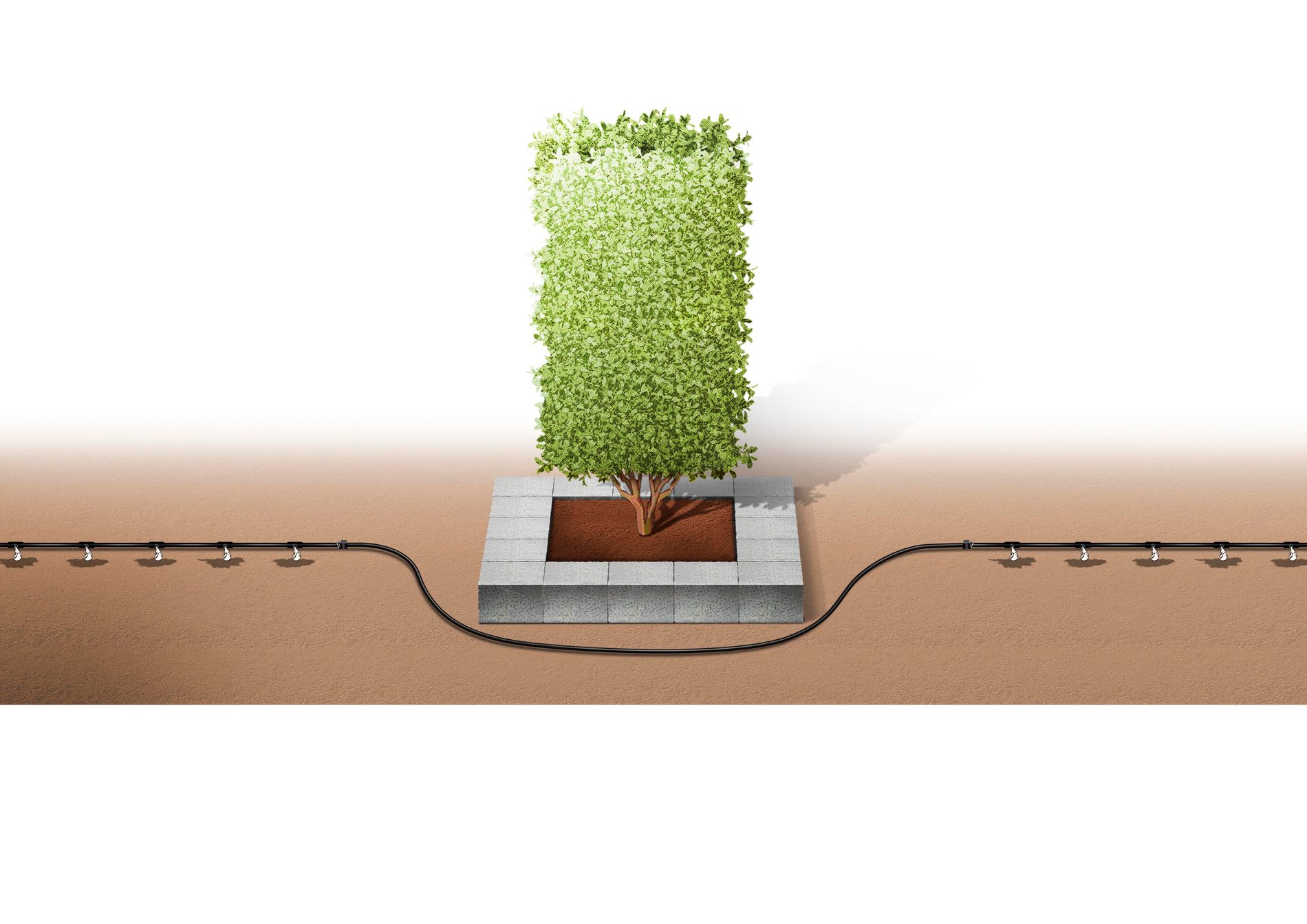 slide-image