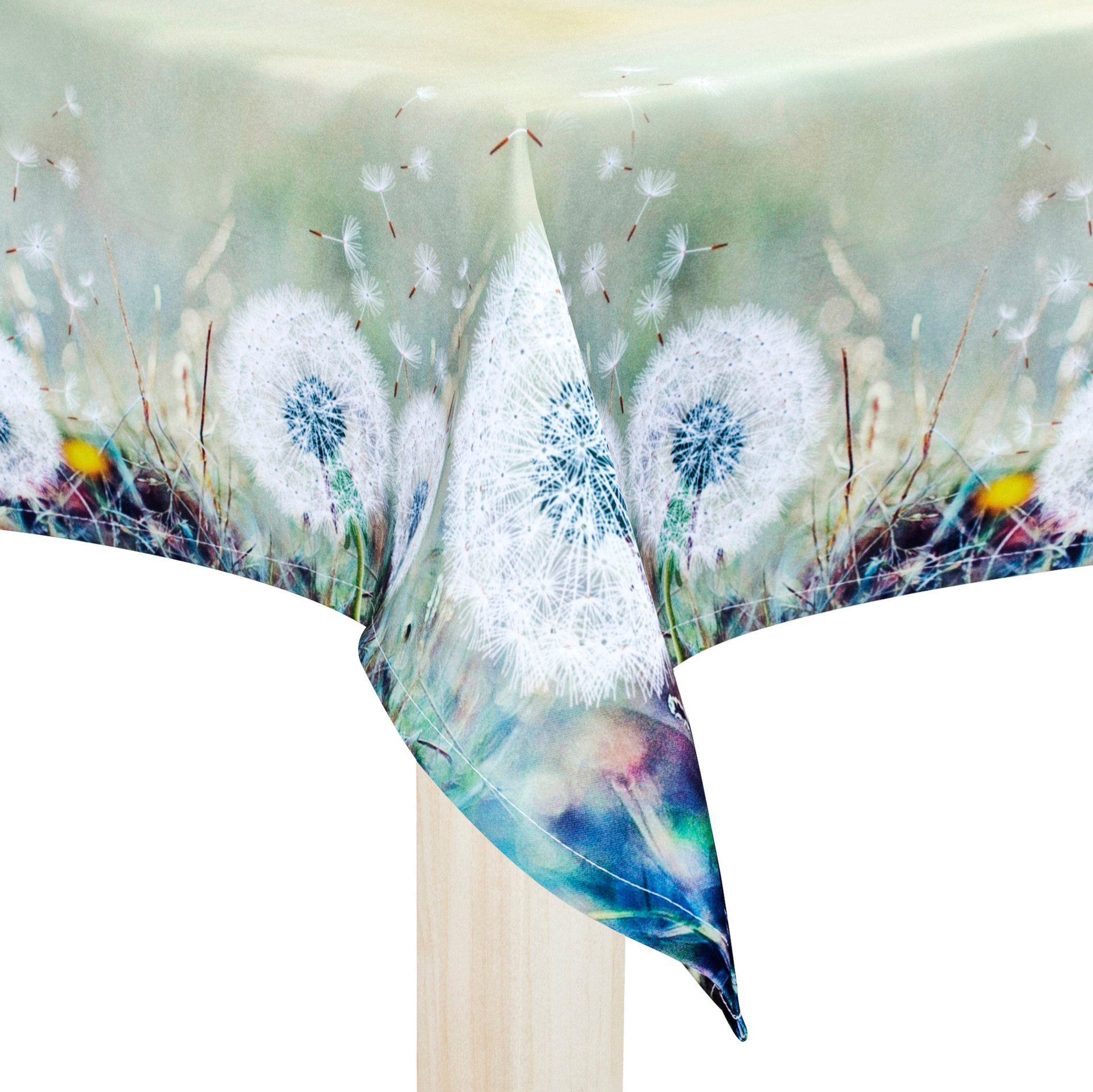 slide-image